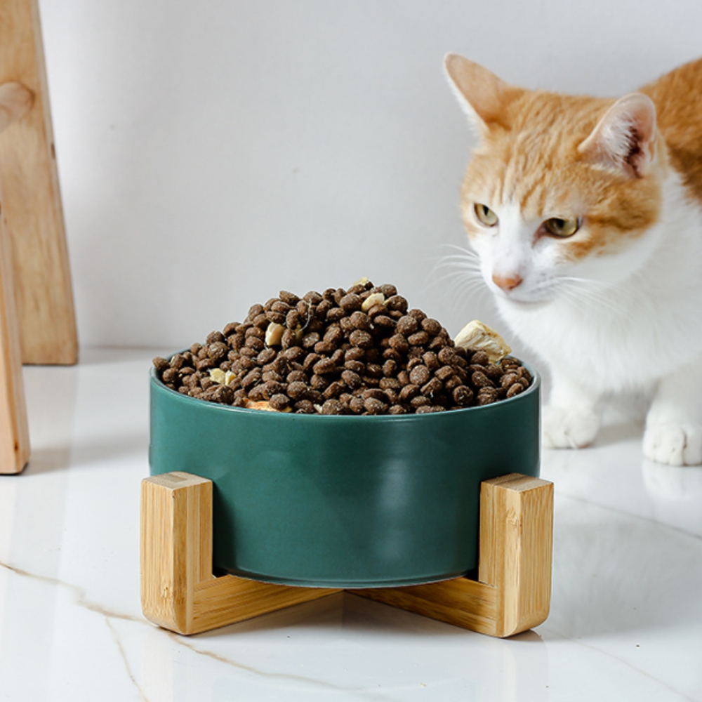 반려동물 우드받침 도자기식기(16cm) 애완동물물그릇