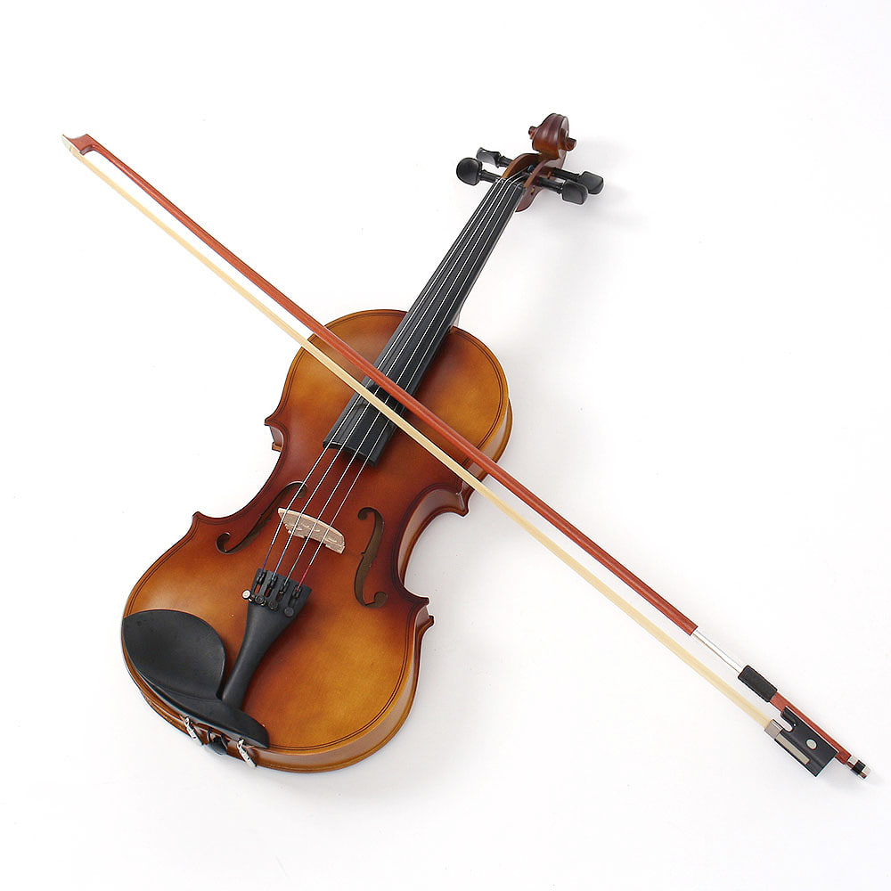 레슨 연습용 바이올린 12 입문용바이올린